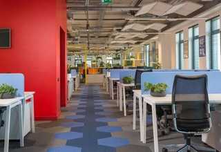 永州美瓷胶批发价格