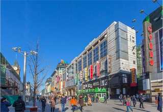 山西仿生植物墙定做