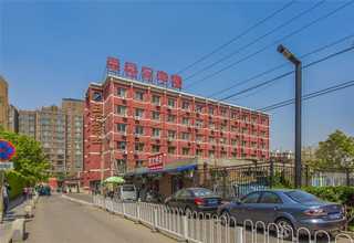 日照建筑工程工地木方加工