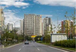 苏州香辣孜然调味粉价格