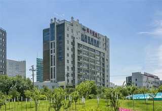 宁波pet塑料刷丝价格是多少